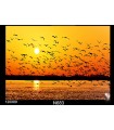 تابلو طرح غروب آفتاب کد N683