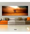 تابلو طرح کویر کد N654